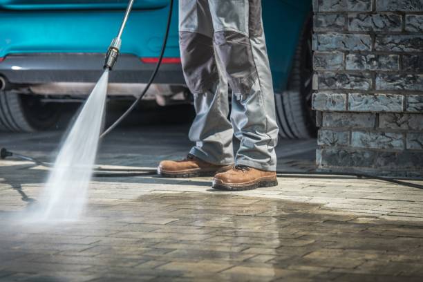 Best Driveway Pressure Washing  in Watervliet, MI