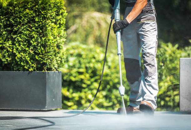 Best Pre-Holiday Cleaning  in Watervliet, MI